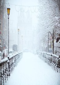 融雪之前小说双a